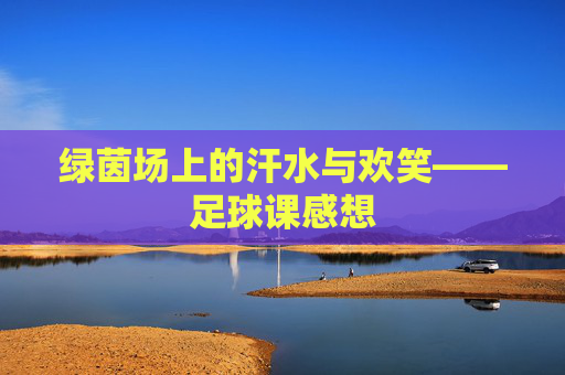 绿茵场上的汗水与欢笑——足球课感想