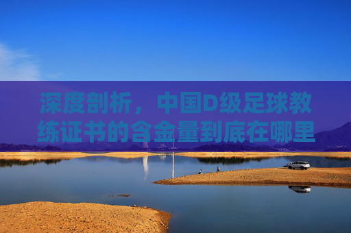 深度剖析，中国D级足球教练证书的含金量到底在哪里？