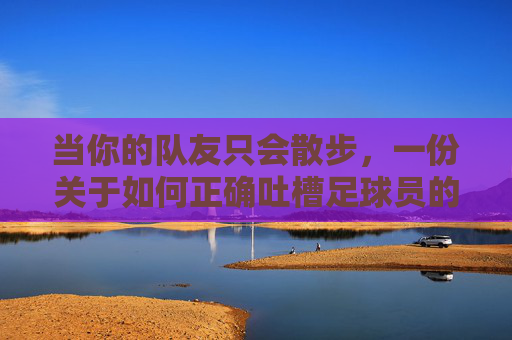 当你的队友只会散步，一份关于如何正确吐槽足球员的实战指南