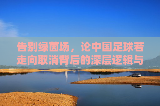 告别绿茵场,论中国足球若走向取消背后的深层逻辑与无奈