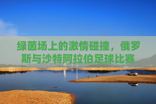 绿茵场上的激情碰撞，俄罗斯与沙特阿拉伯足球比赛