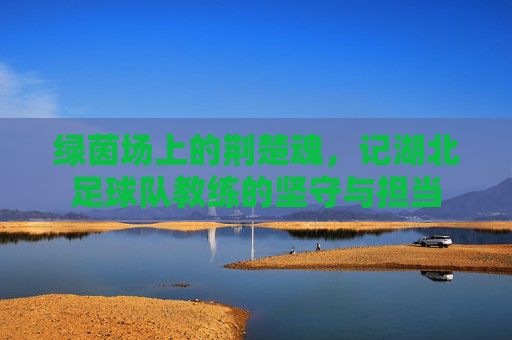 绿茵场上的荆楚魂，记湖北足球队教练的坚守与担当
