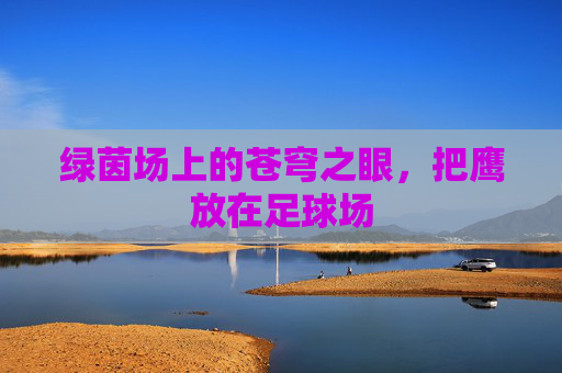 绿茵场上的苍穹之眼,把鹰放在足球场