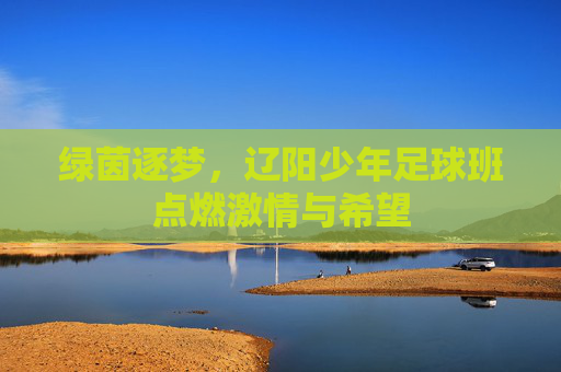 绿茵逐梦，辽阳少年足球班点燃激情与希望
