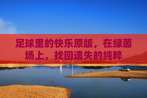 足球里的快乐原版，在绿茵场上，找回遗失的纯粹