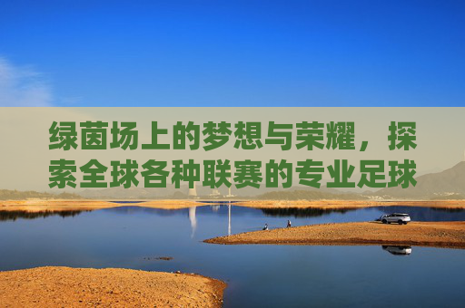 绿茵场上的梦想与荣耀,探索全球各种联赛的专业足球队