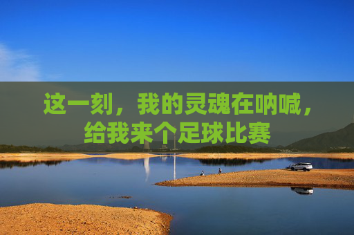 这一刻,我的灵魂在呐喊,给我来个足球比赛