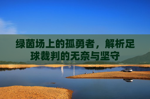 绿茵场上的孤勇者，解析足球裁判的无奈与坚守