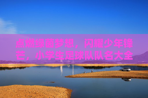 点燃绿茵梦想，闪耀少年锋芒，小学生足球队队名大全