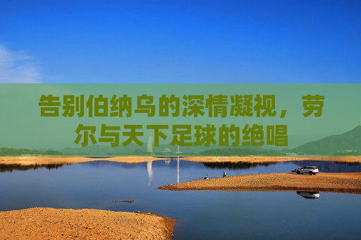 告别伯纳乌的深情凝视,劳尔与天下足球的绝唱