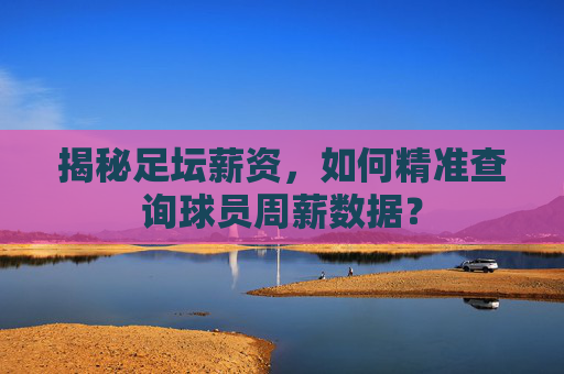 揭秘足坛薪资,如何精准查询球员周薪数据?