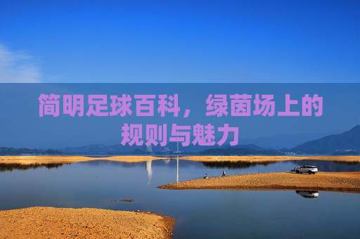 简明足球百科,绿茵场上的规则与魅力