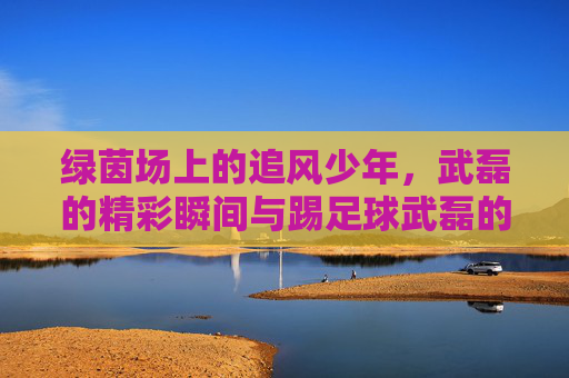 绿茵场上的追风少年，武磊的精彩瞬间与踢足球武磊的照片大全