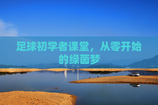 足球初学者课堂，从零开始的绿茵梦