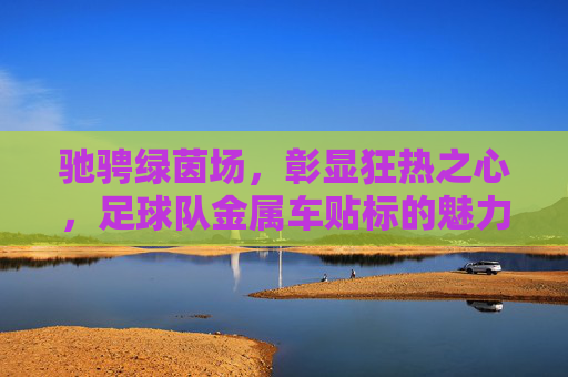 驰骋绿茵场,彰显狂热之心,足球队金属车贴标的魅力与实用指南