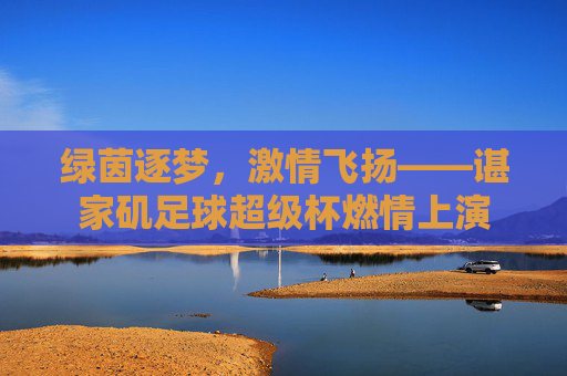 绿茵逐梦,激情飞扬——谌家矶足球超级杯燃情上演