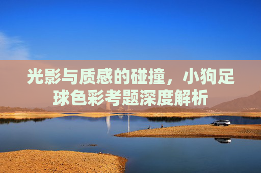 光影与质感的碰撞，小狗足球色彩考题深度解析