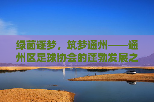 绿茵逐梦，筑梦通州——通州区足球协会的蓬勃发展之路
