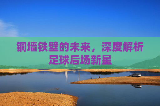 铜墙铁壁的未来，深度解析足球后场新星