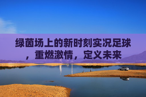 绿茵场上的新时刻实况足球,重燃激情,定义未来