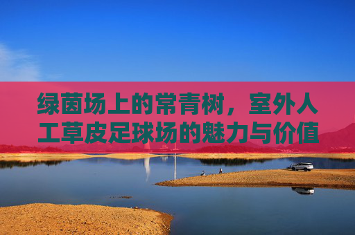 绿茵场上的常青树,室外人工草皮足球场的魅力与价值
