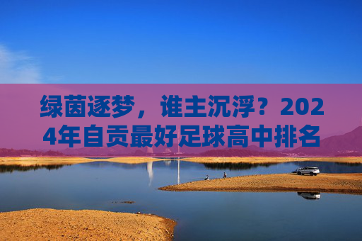 绿茵逐梦，谁主沉浮？2024年自贡最好足球高中排名大揭秘