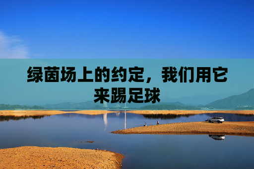 绿茵场上的约定,我们用它来踢足球