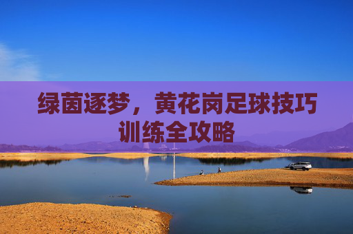 绿茵逐梦,黄花岗足球技巧训练全攻略