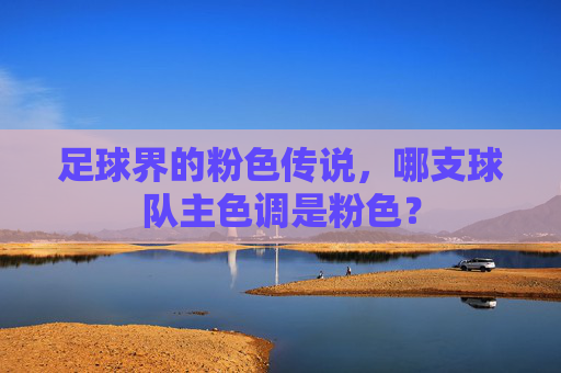 足球界的粉色传说,哪支球队主色调是粉色?