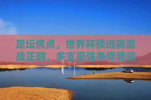 足坛焦点,世界杯预选赛激战正酣,多支豪强争夺晋级名额