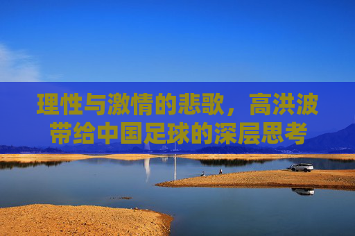 理性与激情的悲歌,高洪波带给中国足球的深层思考