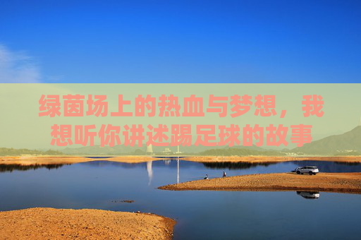 绿茵场上的热血与梦想,我想听你讲述踢足球的故事