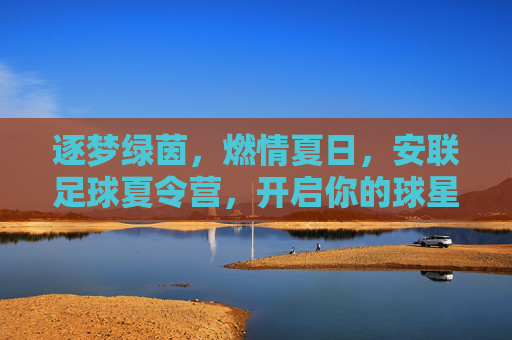 逐梦绿茵,燃情夏日,安联足球夏令营,开启你的球星之路