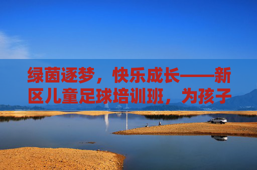 绿茵逐梦，快乐成长——新区儿童足球培训班，为孩子的未来注入活力因子