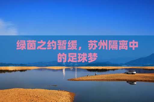 绿茵之约暂缓，苏州隔离中的足球梦