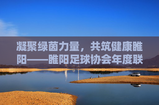凝聚绿茵力量，共筑健康睢阳——睢阳足球协会年度联赛活动方案