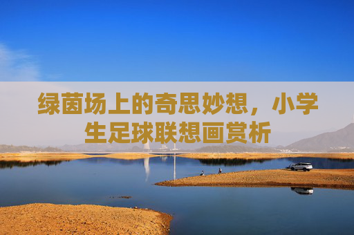绿茵场上的奇思妙想,小学生足球联想画赏析