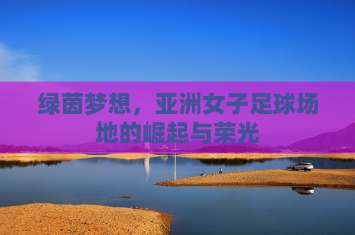 绿茵梦想,亚洲女子足球场地的崛起与荣光