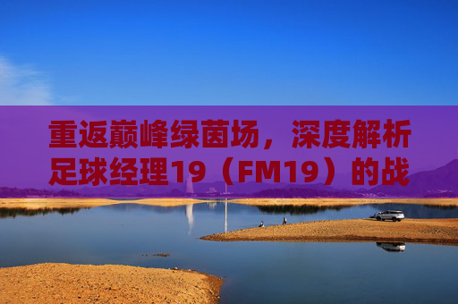 重返巅峰绿茵场,深度解析足球经理19(FM19)的战术魅力与指挥艺术