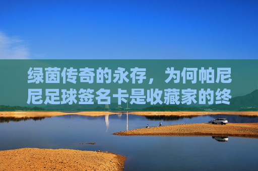 绿茵传奇的永存,为何帕尼尼足球签名卡是收藏家的终极梦想