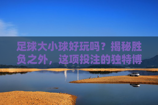足球大小球好玩吗?揭秘胜负之外,这项投注的独特博弈乐趣