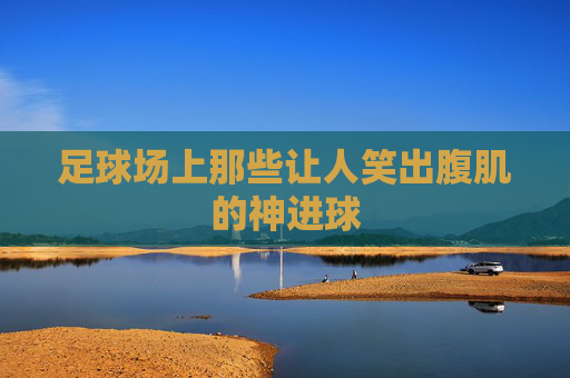 足球场上那些让人笑出腹肌的神进球