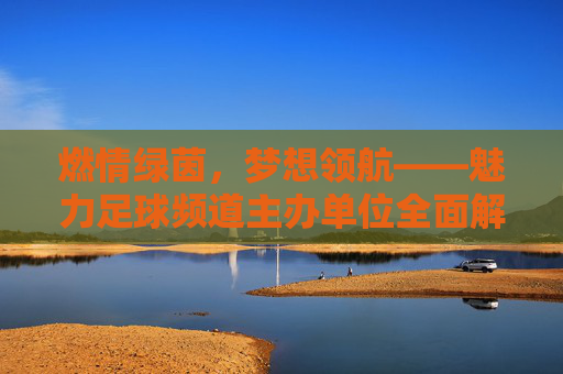 燃情绿茵,梦想领航——魅力足球频道主办单位全面解读