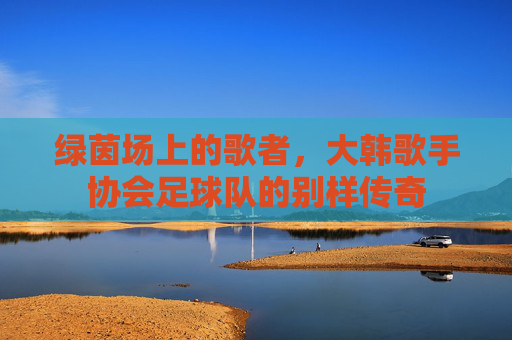 绿茵场上的歌者，大韩歌手协会足球队的别样传奇