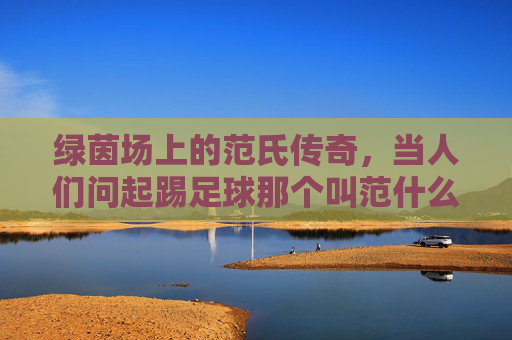 绿茵场上的范氏传奇,当人们问起踢足球那个叫范什么