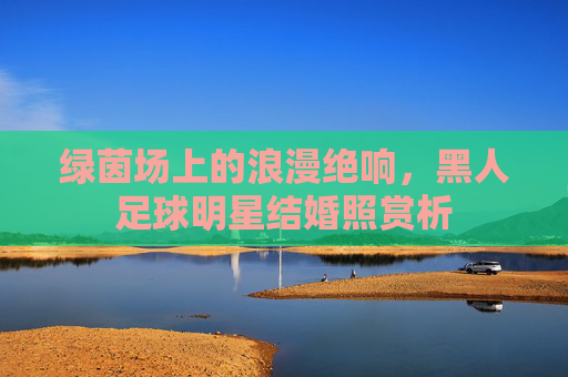 绿茵场上的浪漫绝响，黑人足球明星结婚照赏析