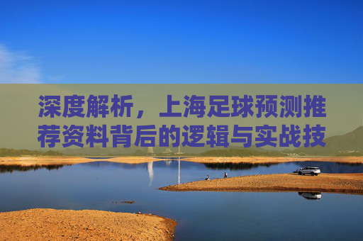 深度解析，上海足球预测推荐资料背后的逻辑与实战技巧