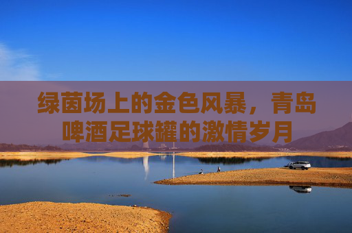 绿茵场上的金色风暴，青岛啤酒足球罐的激情岁月