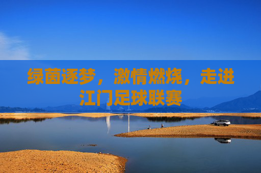 绿茵逐梦，激情燃烧，走进江门足球联赛