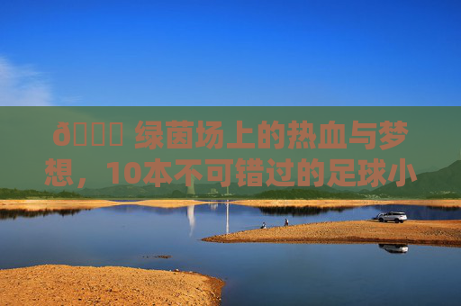 🏆 绿茵场上的热血与梦想，10本不可错过的足球小说推荐